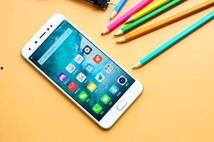 國產手機自拍,捕捉生活美好瞬間