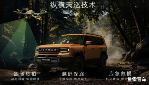 國產(chǎn)另類圖片,探索獨(dú)特視覺藝術(shù)之美