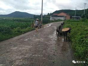 國產(chǎn)三級(jí)鄉(xiāng)下,國產(chǎn)三級(jí)電影的鄉(xiāng)村畫卷